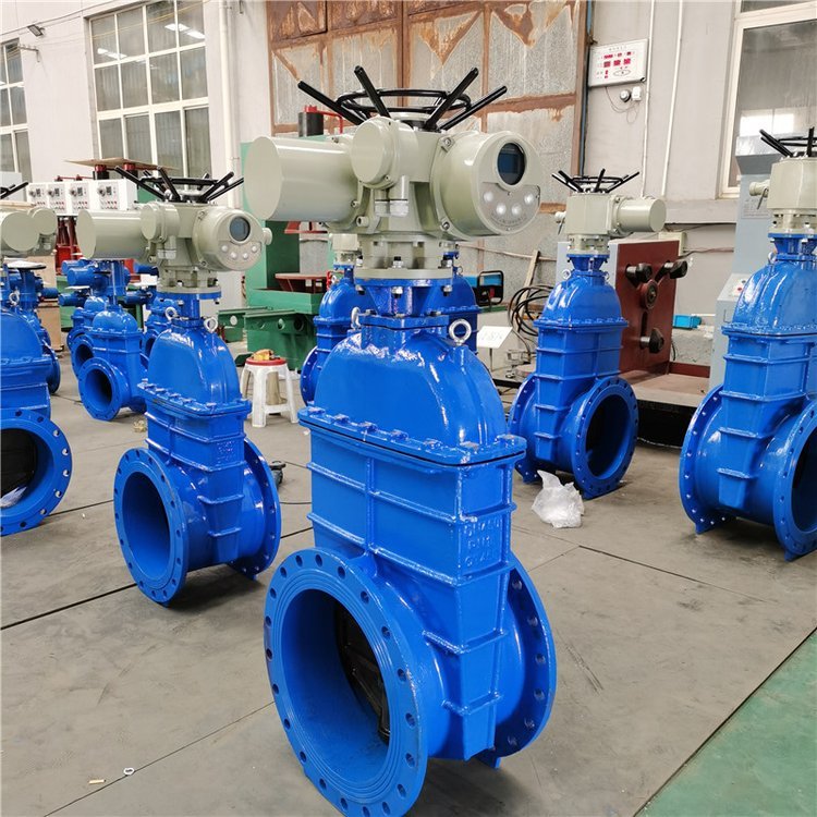 電動(dòng)閘閥Z941h -64 DN500(石化行業(yè)、煉油廠、化工廠)