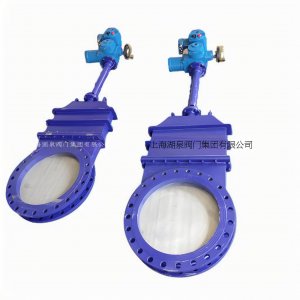 現(xiàn)貨供應(yīng)電動(dòng)刀型閘閥PZ973H-10C  DN500